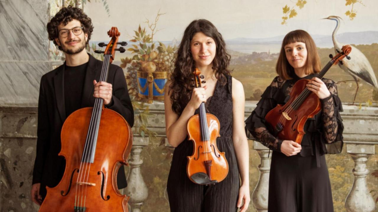 Trio David - Musica con Vista